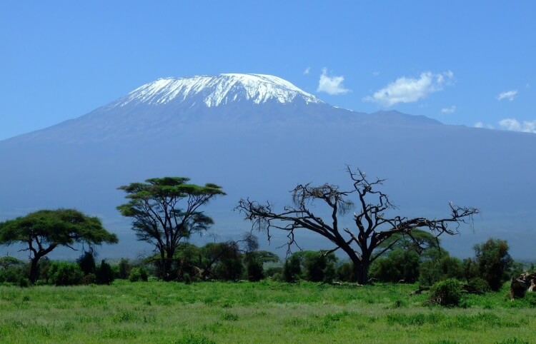 Les neiges du Kilimandjaro