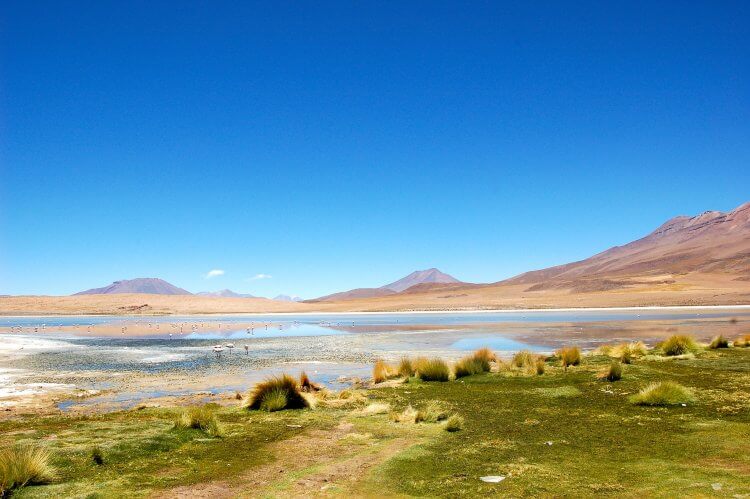 Amoureux de la nature authentique, la Bolivie vous plongera au cœur d’une nature exceptionnelle, lors d’un séjour hors des sentiers battus.
