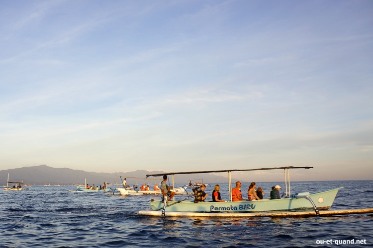 excursion dauphin bateau lovina beach à bali