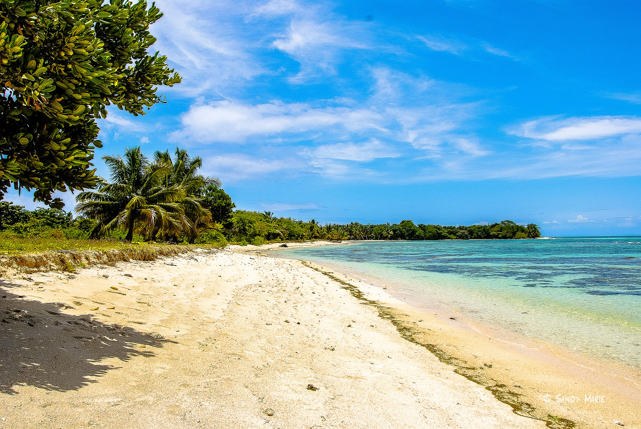 Partir à la découverte de Madagascar Nosy Be, SainteMarie...