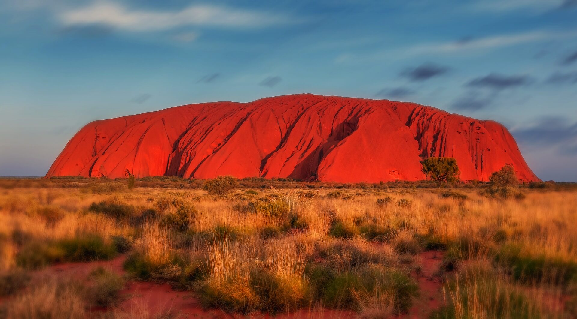 Vue sur le mont Uluru