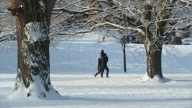 Famille marchant dans la neige