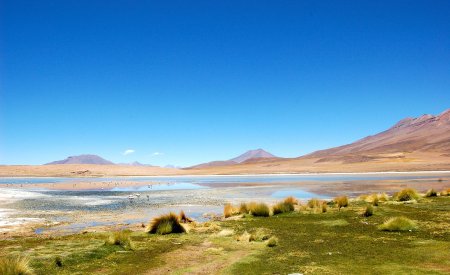 Amoureux de la nature authentique, la Bolivie vous plongera au cœur d’une nature exceptionnelle, lors d’un séjour hors des sentiers battus.