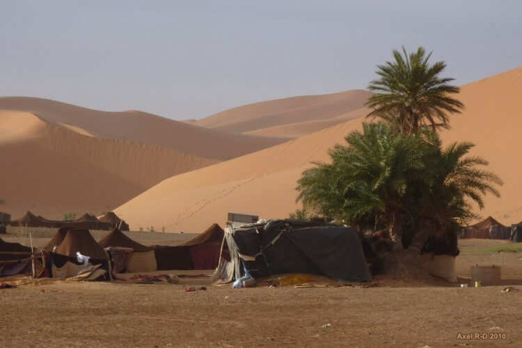 Que faire dans le désert de Dubaï ? Pour les amateurs de sensations fortes ou pour faire une escapade féerique