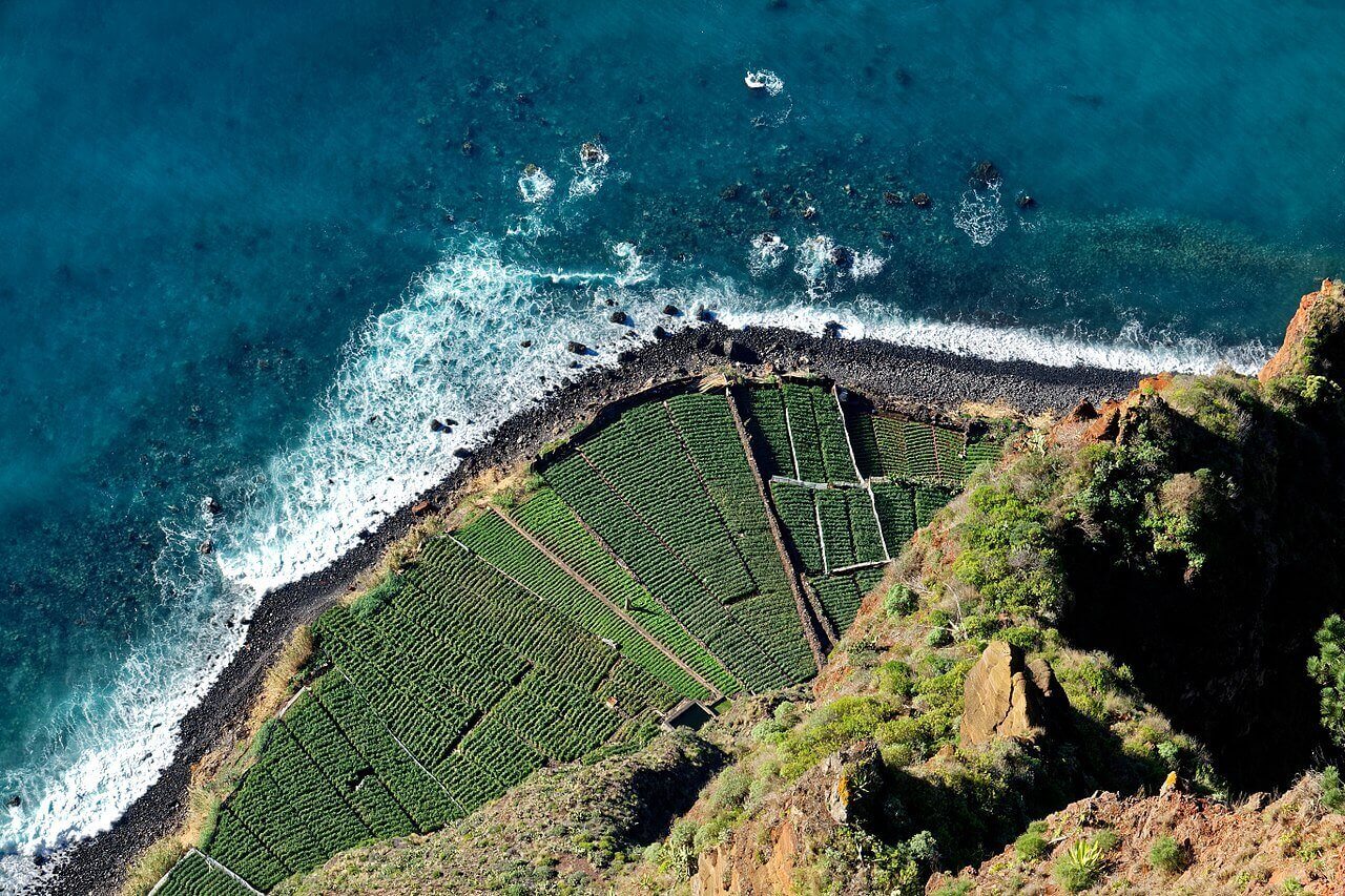 Cap Girão à Madère : Découvrez la Falaise la plus Haute du Monde !