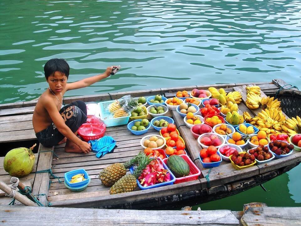 Quels fruits trouve-t-on au Cambodge et à quelles saisons ?