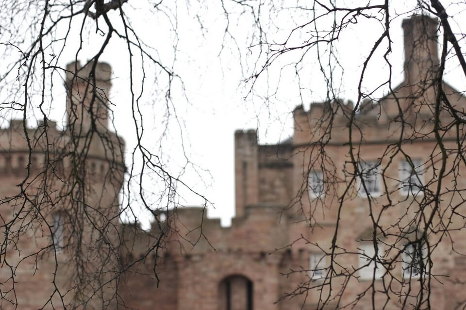 chateau caché par des branches