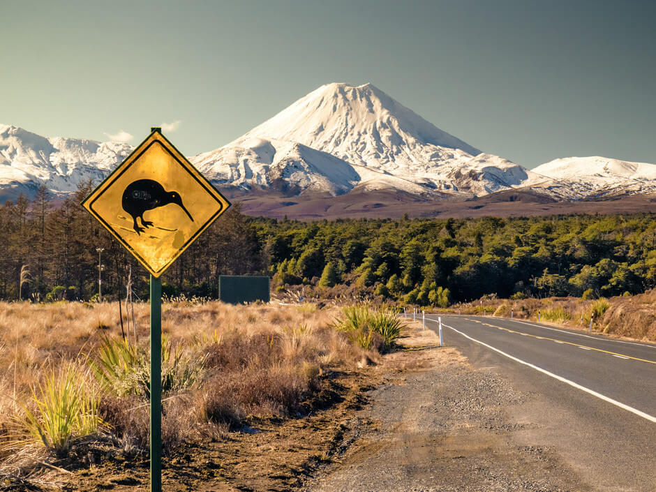 route néozélandaise panneau kiwi animaux nouvelle zelande