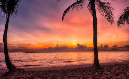 palmier coucher de soleil saison des pluies en république dominicaine