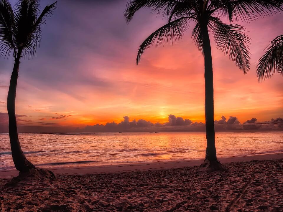 palmier coucher de soleil saison des pluies en république dominicaine