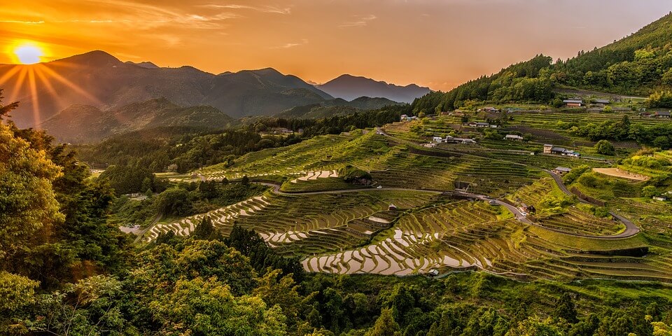 rizières au coucher de soleil saison des pluies au japon