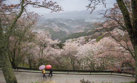 japonais parapluie paysage montagne saison des pluies japon