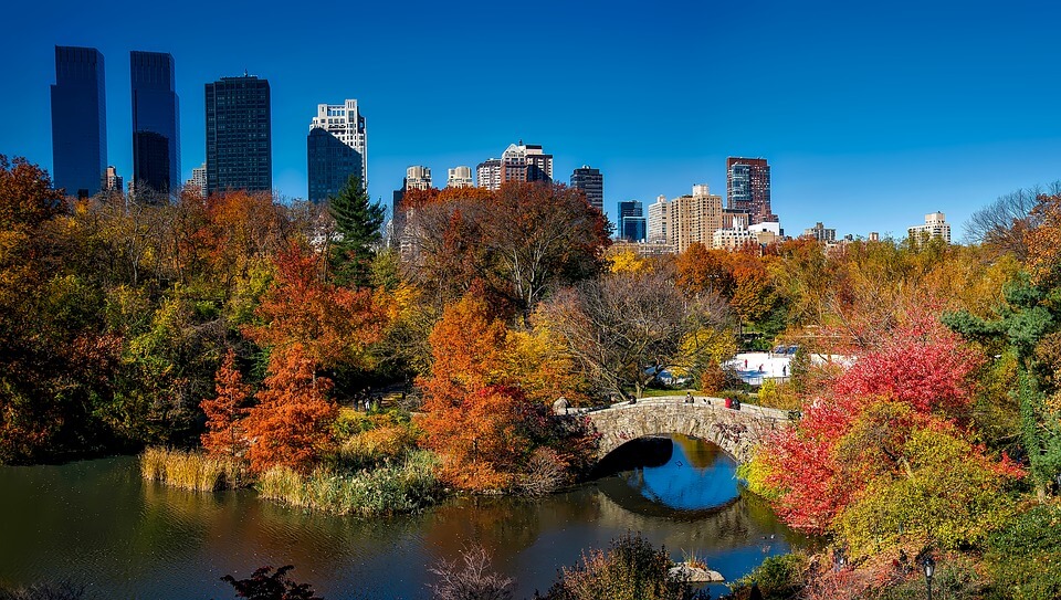 central park new york insolite