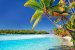 îles cook cocotier mer îles paradisiaques du monde