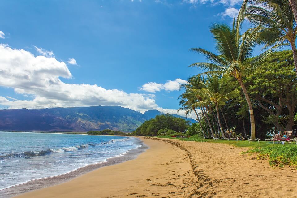 plage hawaii cocotiers îles paradisiaques du monde