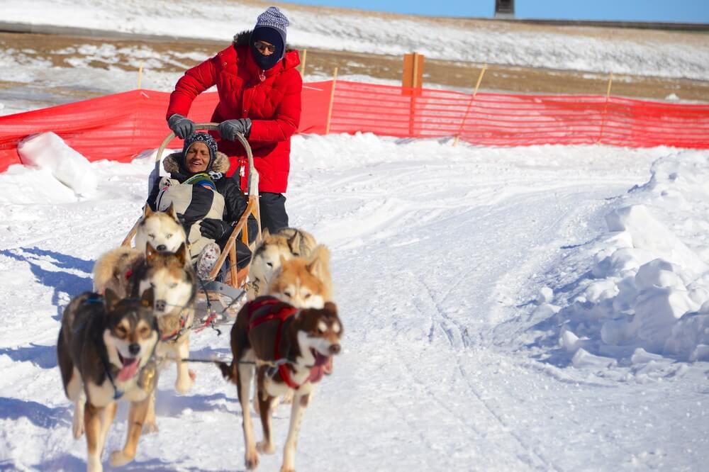 carnaval de québec course de chien de traineau