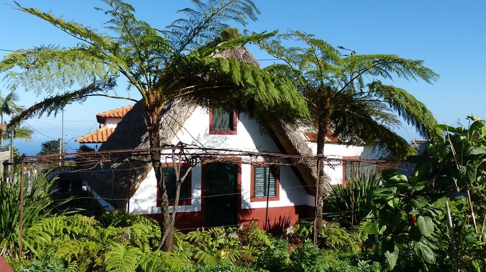 maison typique madere vegetation