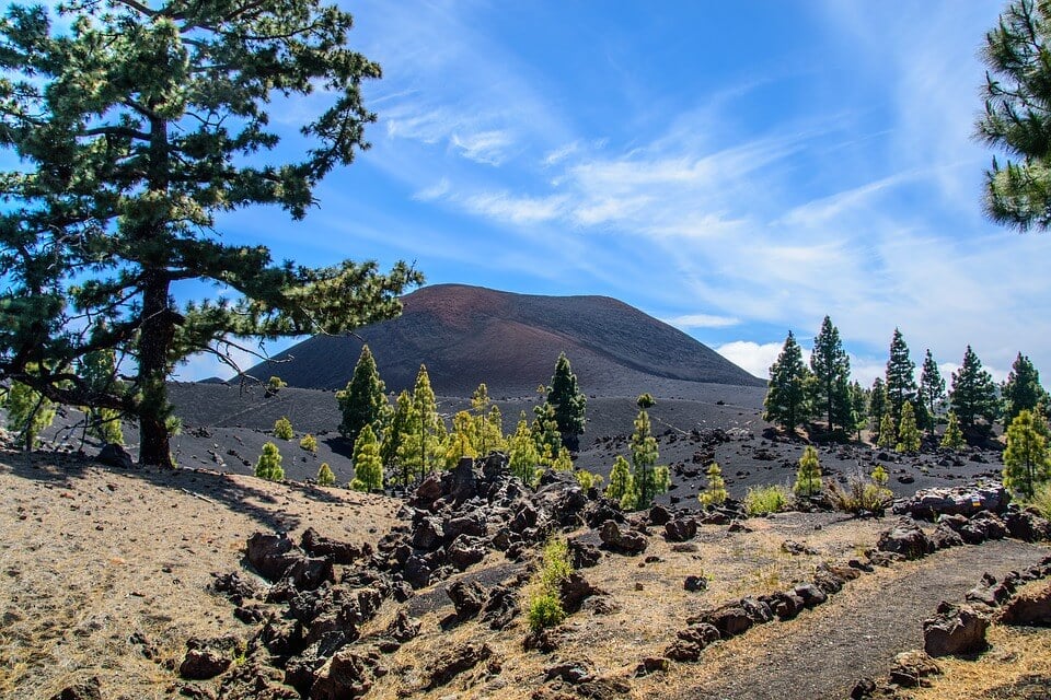 volcan arbres plaine tenerife canaries ou partir à 5h de vol de Paris