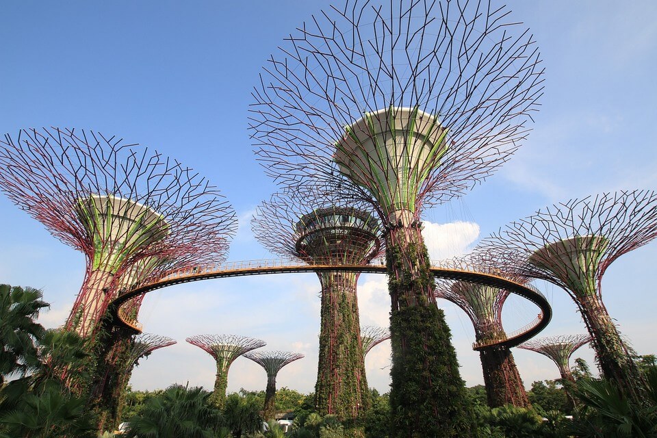 supertrees singapour en 3 jours