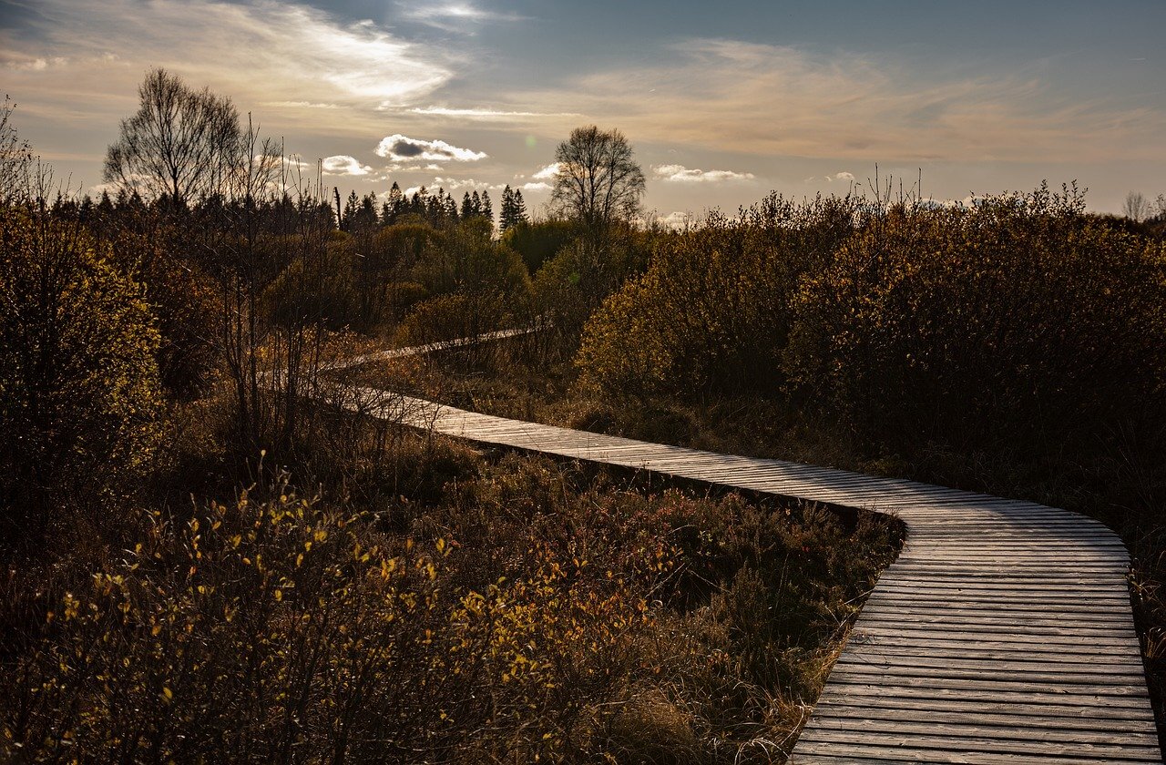 haute fagne sentier ponton en bois itinéraire en belgique