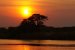 coucher de soleil botswana