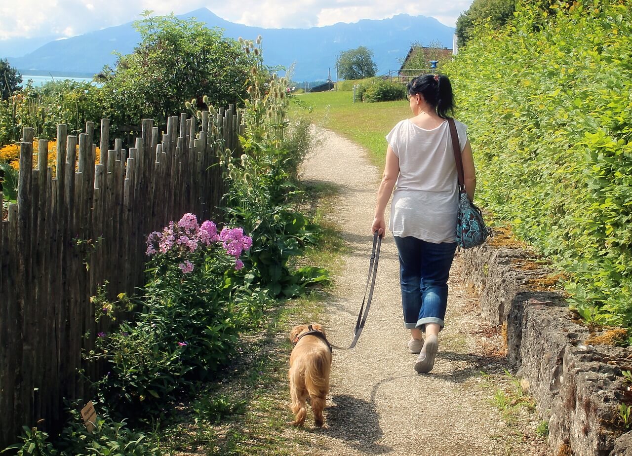 femme promene un chien où partir quand on n'a pas d'argent