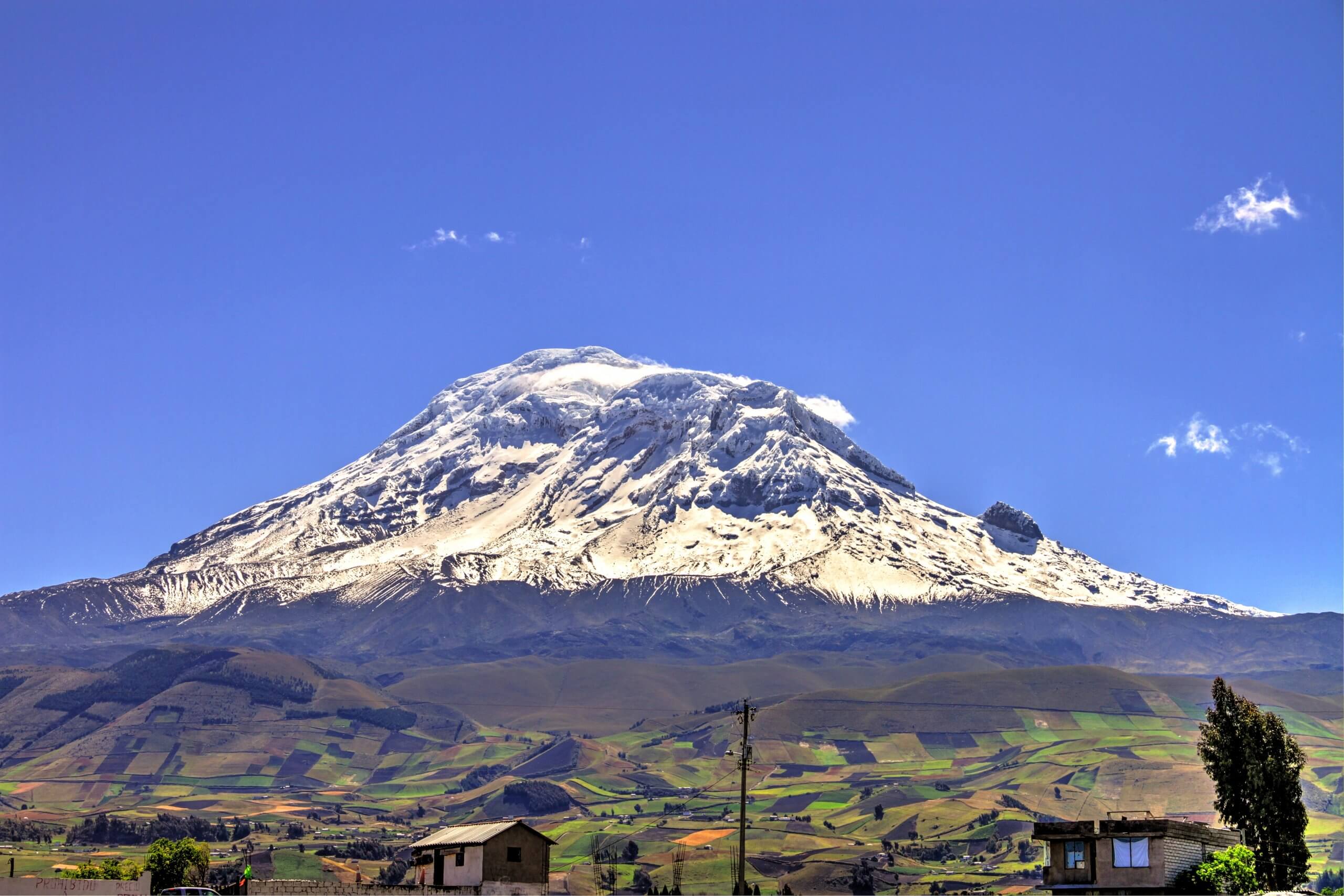 Les sommets enneigés du volcan Chimborazo n’attirent pas que les alpinistes aguerris.
