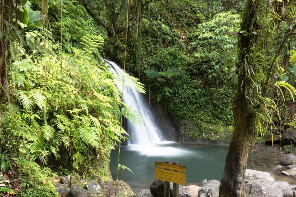 Top 10 des plus belles cascades à voir en Guadeloupe : les plus célèbres et les cascades hors des sentiers battus