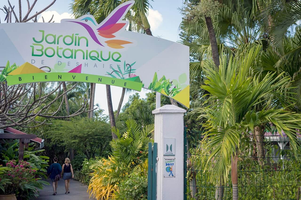 Guadeloupe Découvrez le Jardin Botanique de Deshaies
