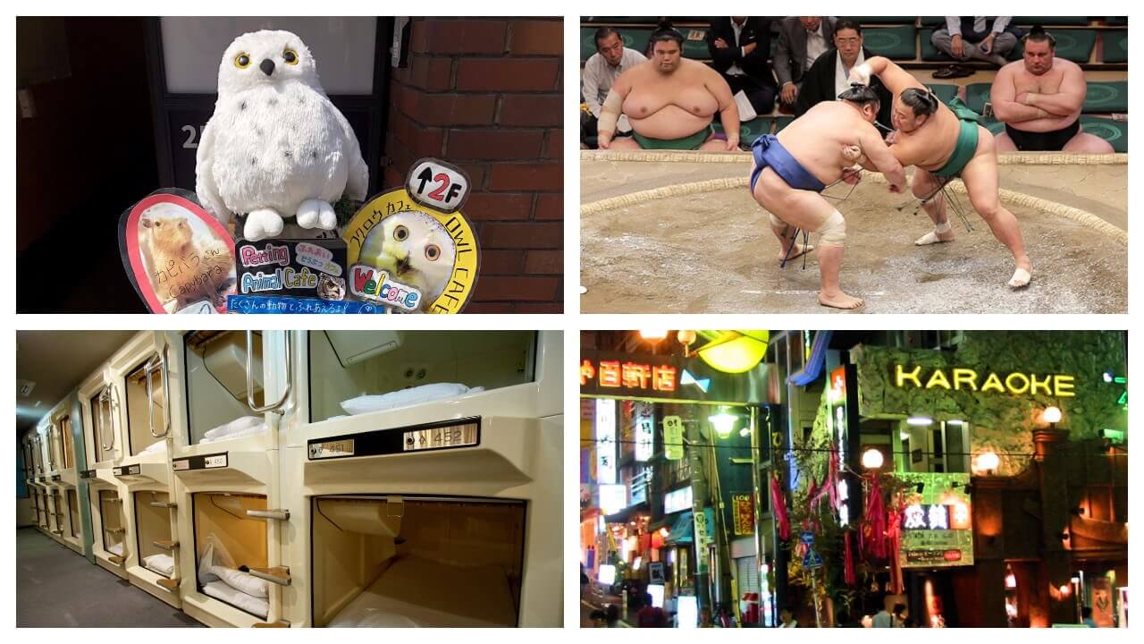 8 expériences inédites à vivre uniquement au Japon