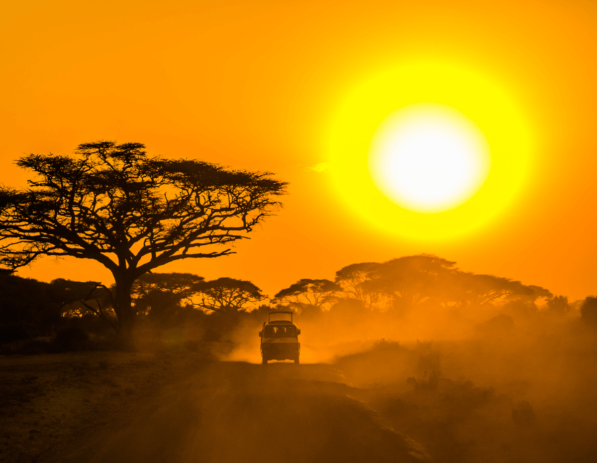 jeep animaux coucher de soleil afrique safari kenya ou tanzanie