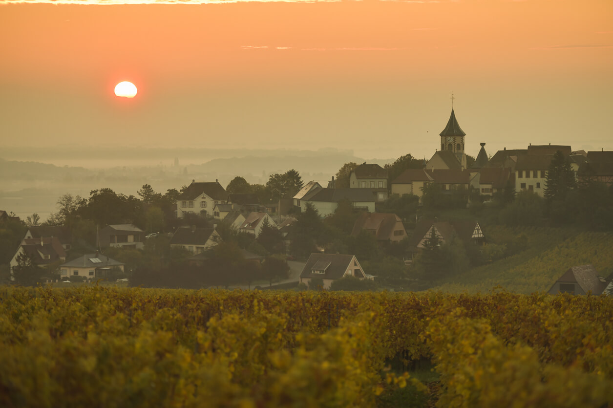Le village de Zellenberg au lever du soleil, vignoble d’Alsace