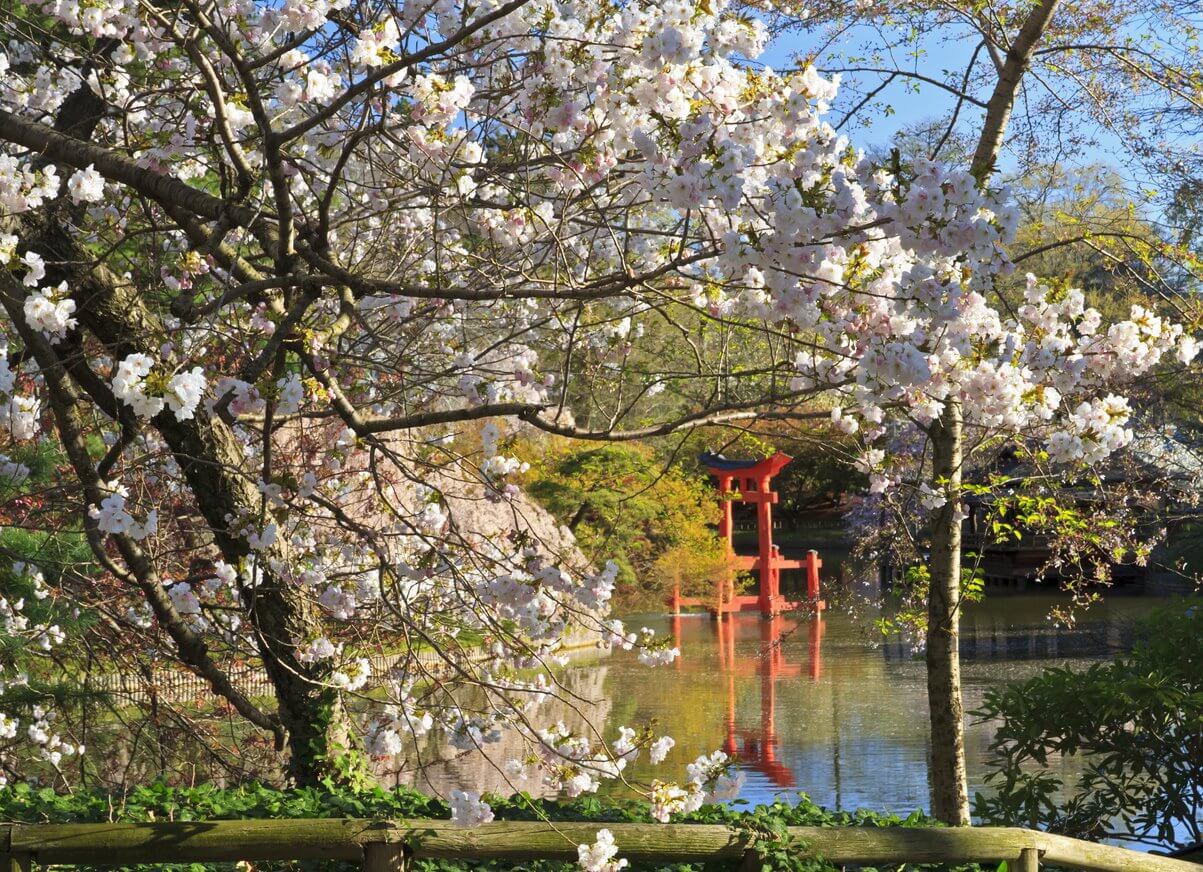 brooklyn botanic garden