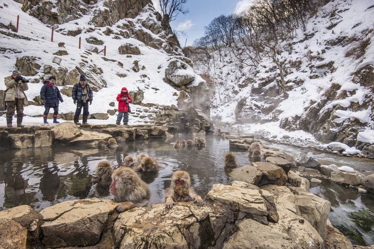 jigokudani yaen koen nagano