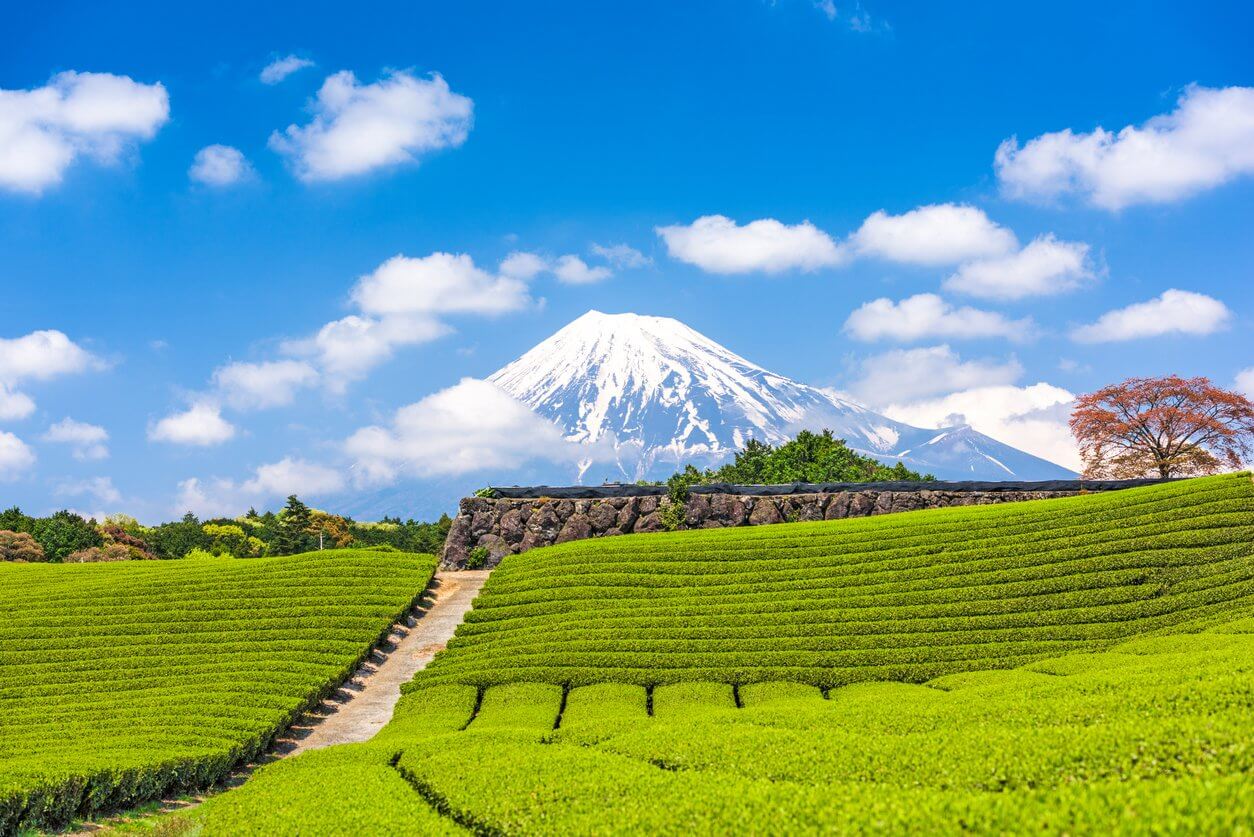 mont fuji shizuoka