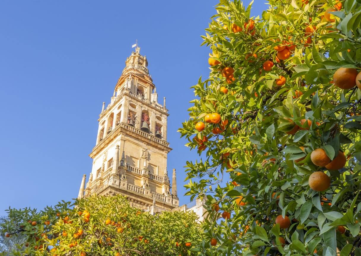 tour de la giralda seville