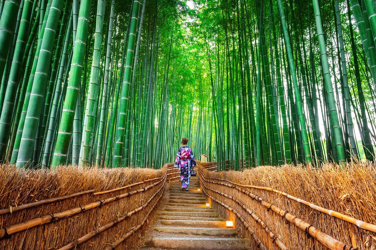 arashiyama japon