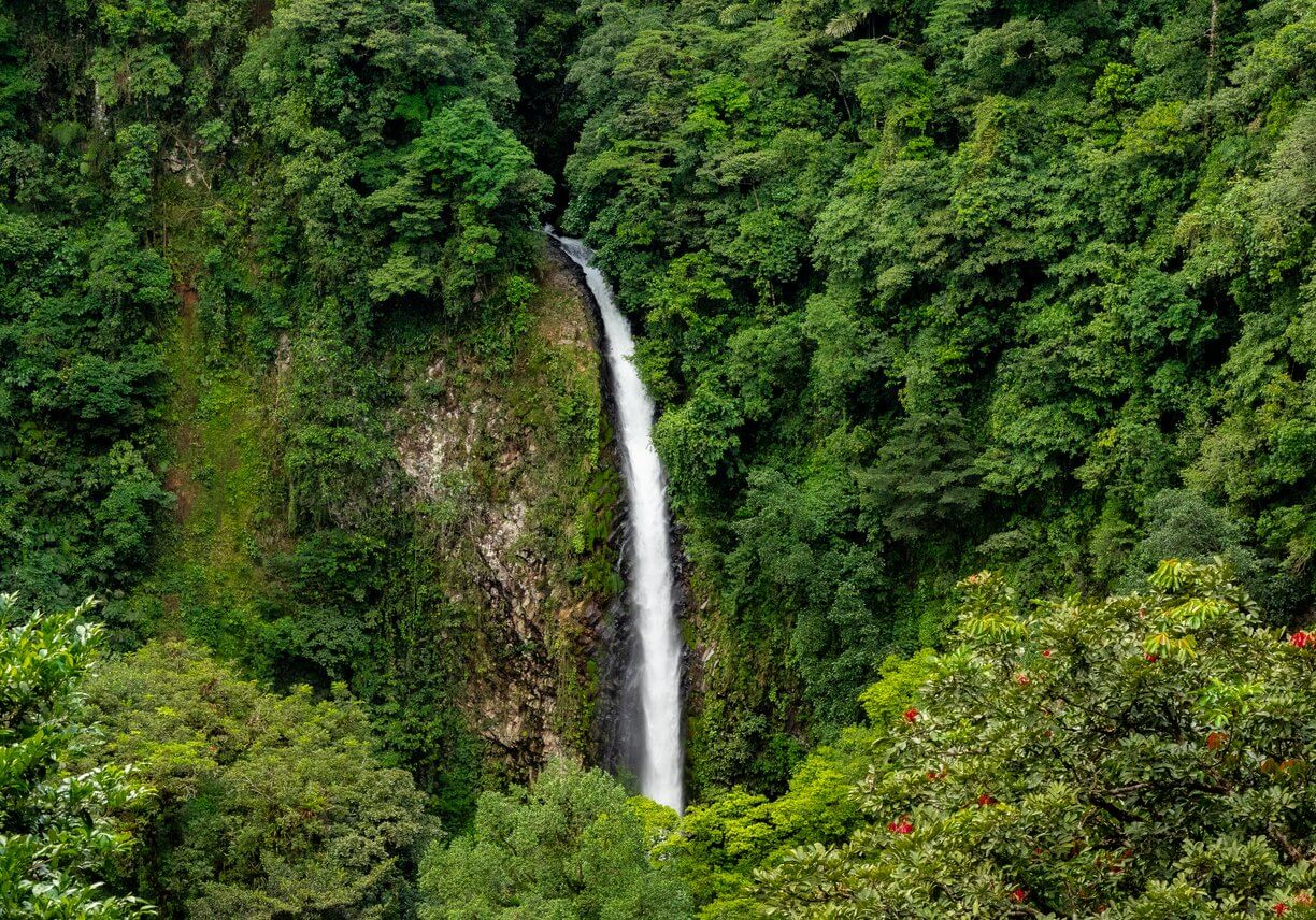 chutes de la fortuna