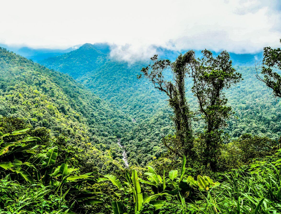 la foret tropicale de braulio carrillo