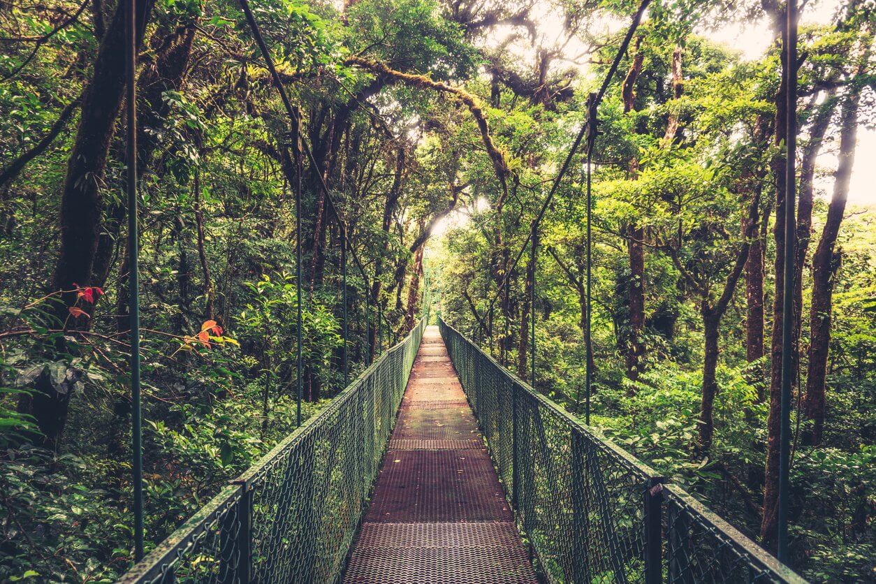 monteverde cloud forest reserve costa rica