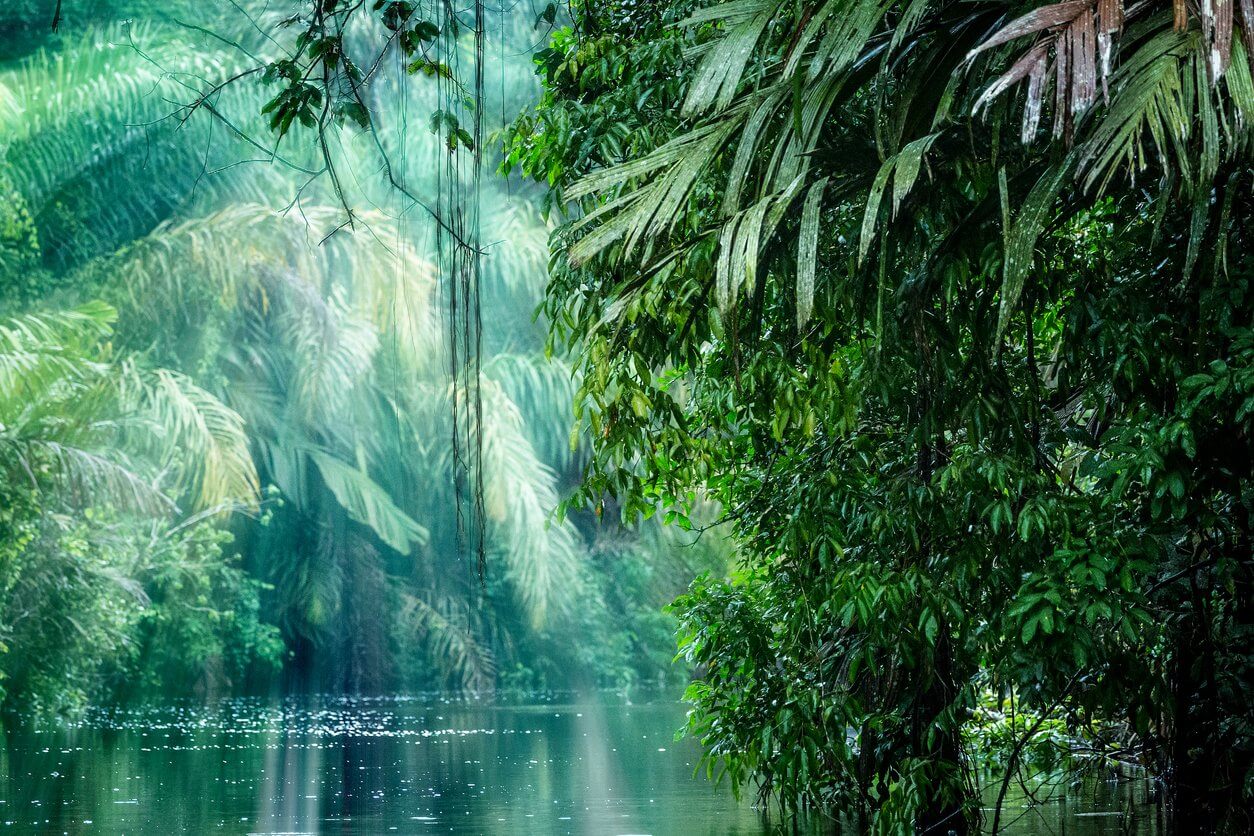 parc national tortuguero