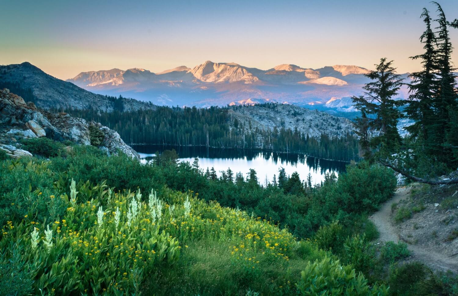 sierra nevada