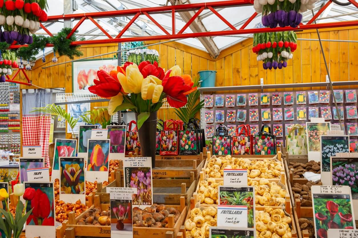bloemenmarkt a amsterdam