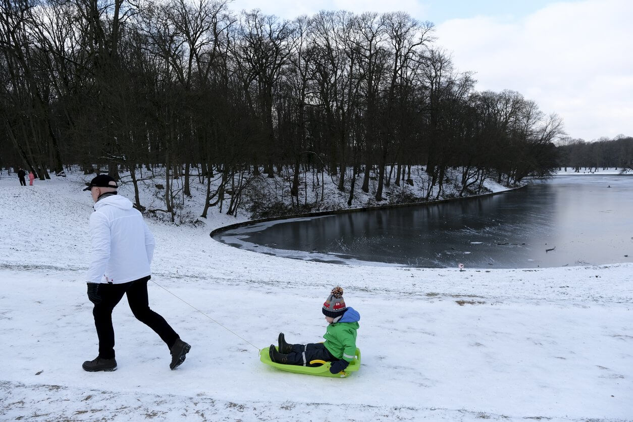 bois de la cambre a bruxelles hiver