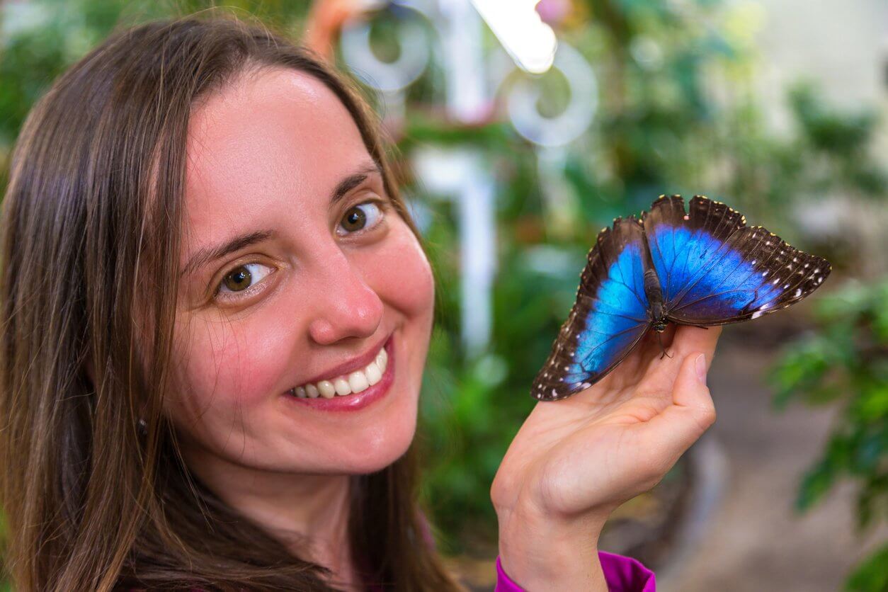 butterfly garden