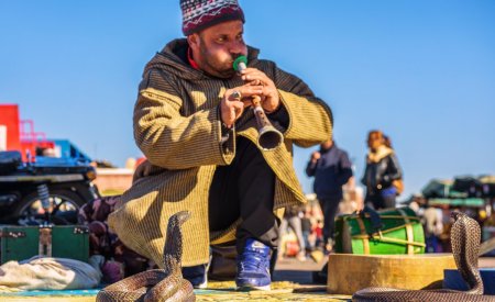 charmeur de serpent jouer de la musique marrakech maroc