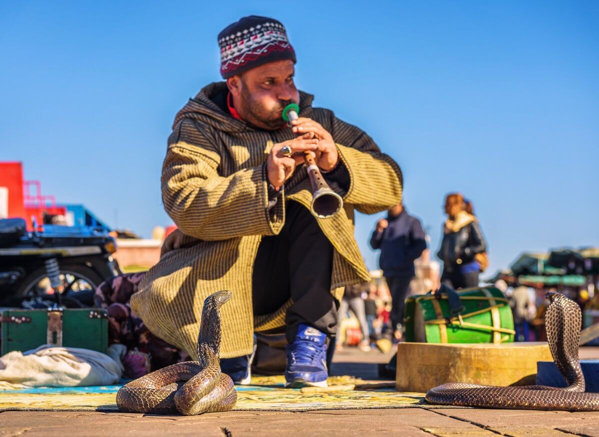 charmeur de serpent jouer de la musique marrakech maroc