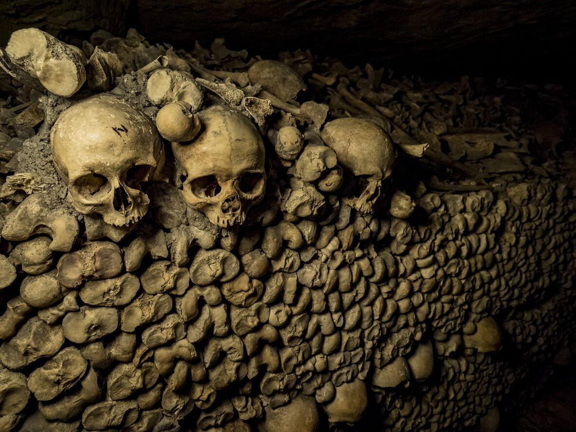 cranes dans les catacombes de paris