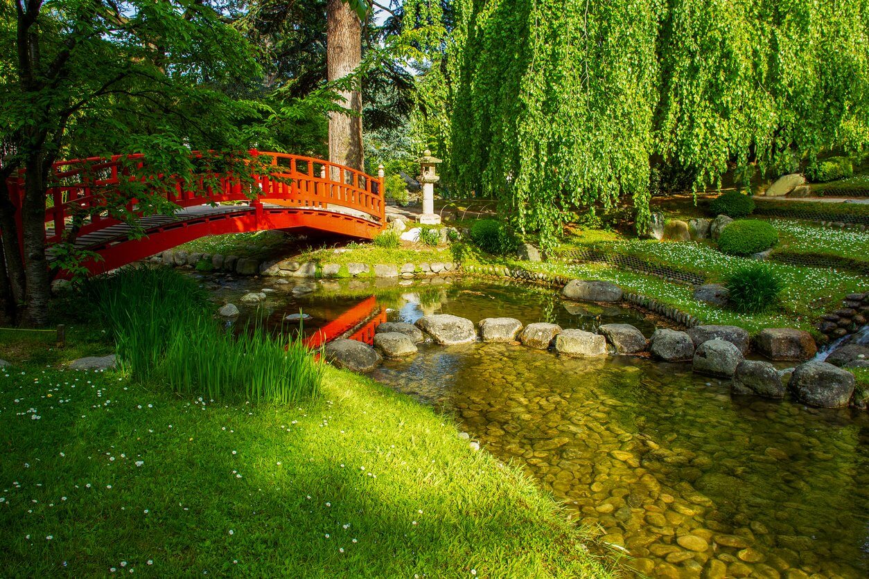 jardin japonais dichikawa