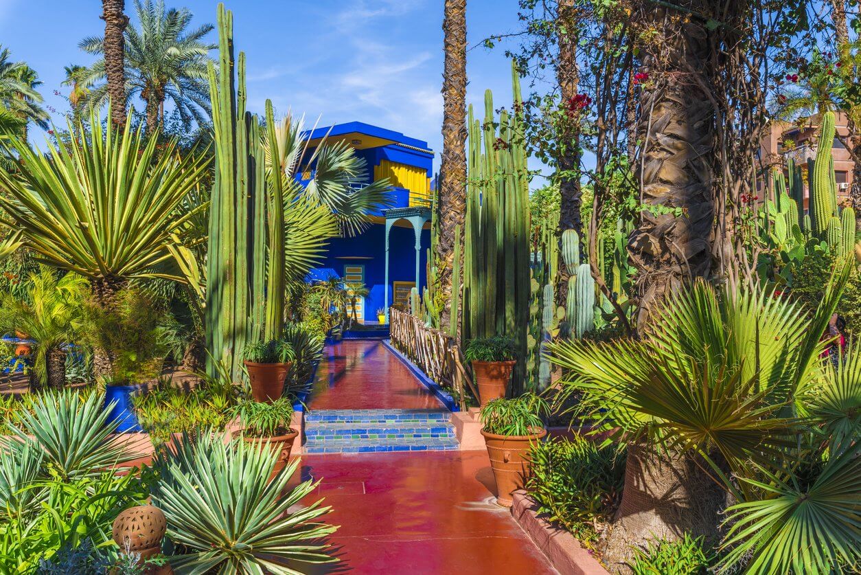 le jardin majorelle marrakech